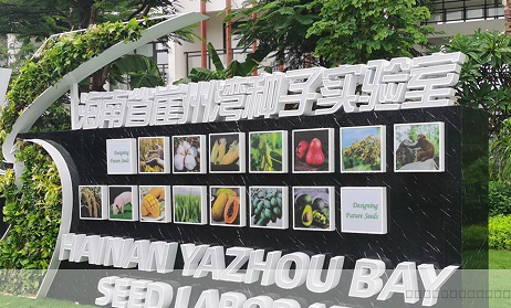 海南省崖州湾种子实验室